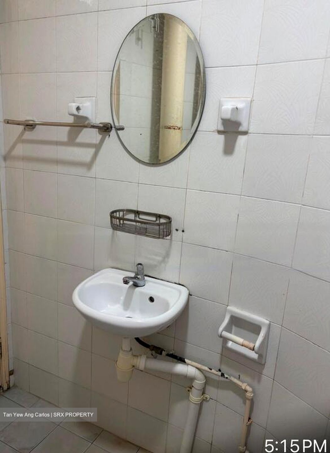 Bullion Park (D26), Condominium #480098131